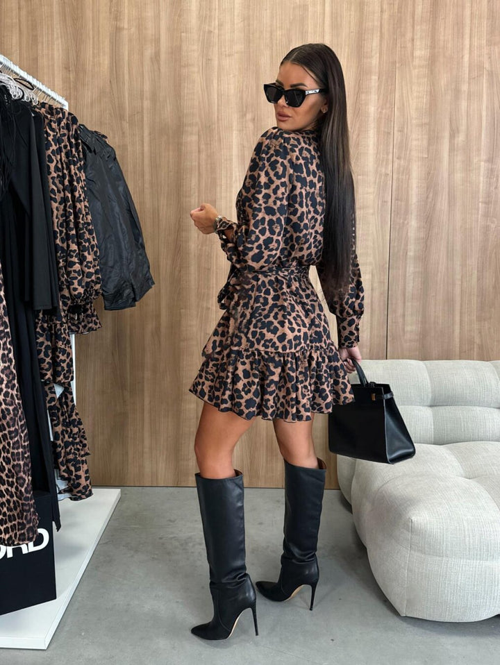 A-Line Stylish Women's Mini Dress with V-Neck and Long Sleeves