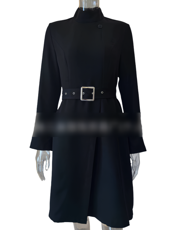 A-Line Elegant Midi Dress with Turtleneck and Waist Belt for Women