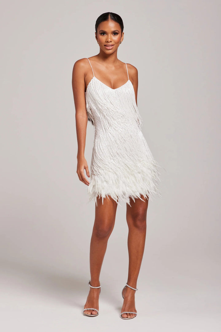 Stylish Party Mini Dress With Sequins And Fringe For Women