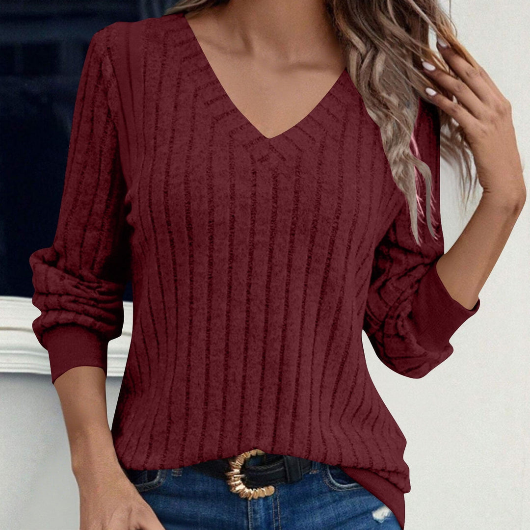 Ria | Mesh Top with Long Sleeves